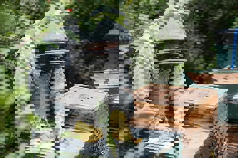 Urban Rooftop Garden Yields First Harvest of Organic Honey